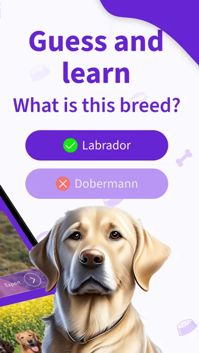 Captures d'écran de Dog Breeds Training Games Life