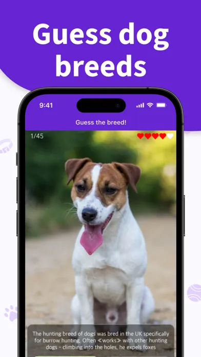 Captures d'écran de Dog Breeds Training Games Life