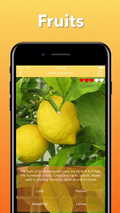 Fruits, Vegetables & Berries Screenshots