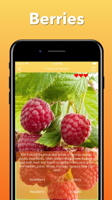 Fruits, Vegetables & Berries Screenshots