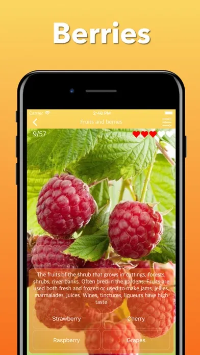 Fruits, Vegetables & Berries স্ক্রিনশট