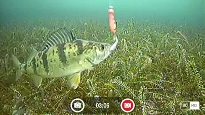 Captures d'écran de FishSens SondeCAM
