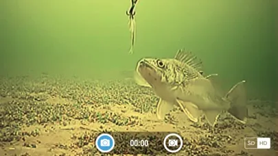 Captures d'écran de FishSens SondeCAM