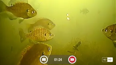 Captures d'écran de FishSens SondeCAM