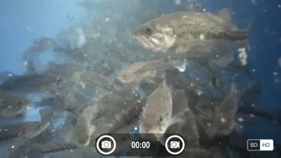 Captures d'écran de FishSens SondeCAM