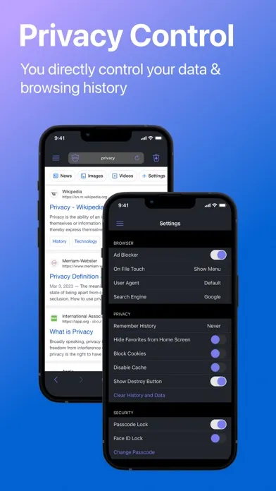 Private Browser Deluxe স্ক্রিনশট