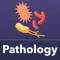 Pathology Exam Prep 2021