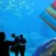 Aquarium Videos