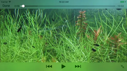 Aquarium Videos应用截图