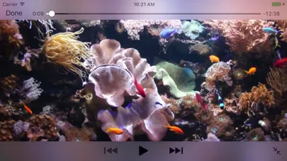 Aquarium Videos应用截图
