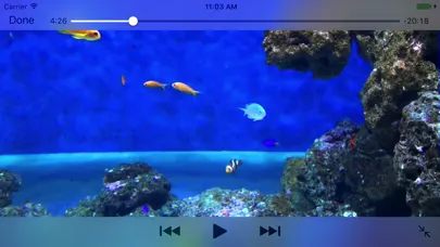 Capturas de tela do Aquarium Videos 3D