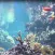Reef Aquarium 2D/3D
