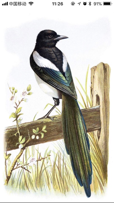 ภาพหน้าจอของ FlowerBird