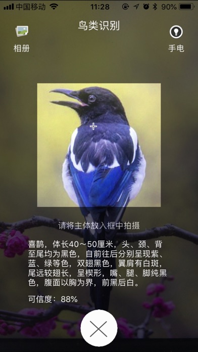 ภาพหน้าจอของ FlowerBird
