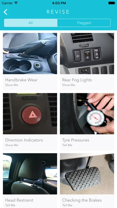 Show Me Tell Me - Practical Driving Test Screenshots