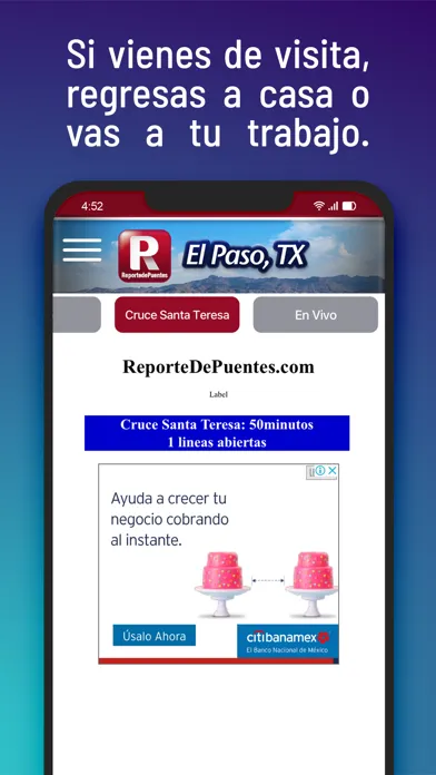 Скриншоты ReportedePuentes.com