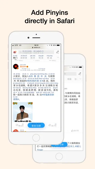 HanYou - Chinese Dictionary স্ক্রিনশট