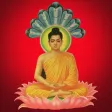 Tu Dam Hai Ngoai