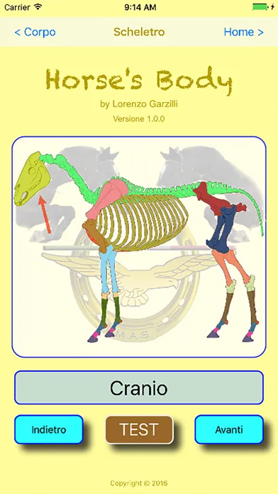 HorseBody স্ক্রিনশট