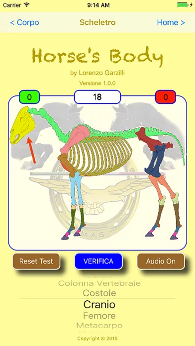HorseBody স্ক্রিনশট