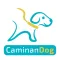 CaminanDog paseos para mascota