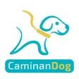 CaminanDog paseos para mascota CaminanDog paseos para mascota