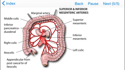 Tricky Areas of Anatomy Screenshots