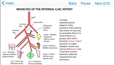 Tricky Areas of Anatomy Screenshots