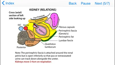 Tricky Areas of Anatomy Screenshots