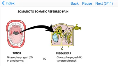Tricky Areas of Anatomy Screenshots
