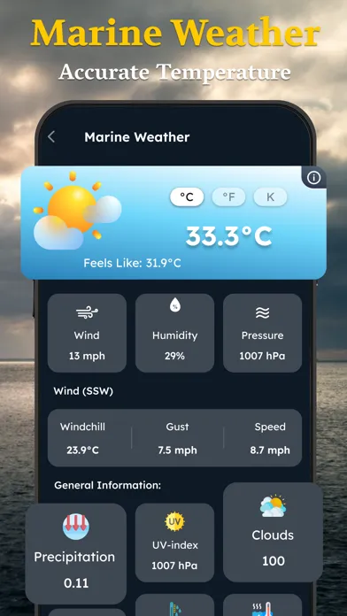 Ảnh chụp màn hình của Room Temperature Thermometer