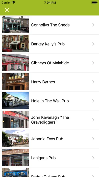 Irish Pubs 스크린샷