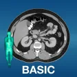X-Anatomy Basic X-Anatomy Basic