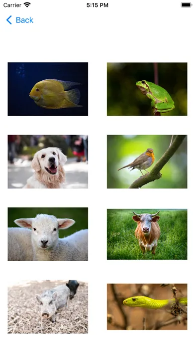 What Do the Animals Say Ekran Görüntüleri
