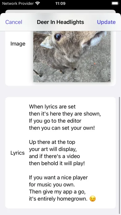 Скриншоты Medlied Media Library & Editor