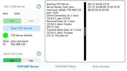 TCP/UDP Server/Client应用截图
