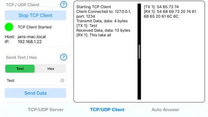 TCP/UDP Server/Client应用截图