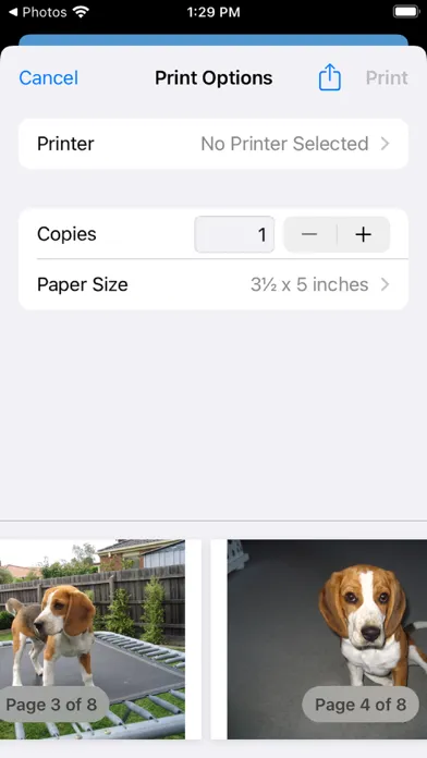 Pix-App 스크린샷