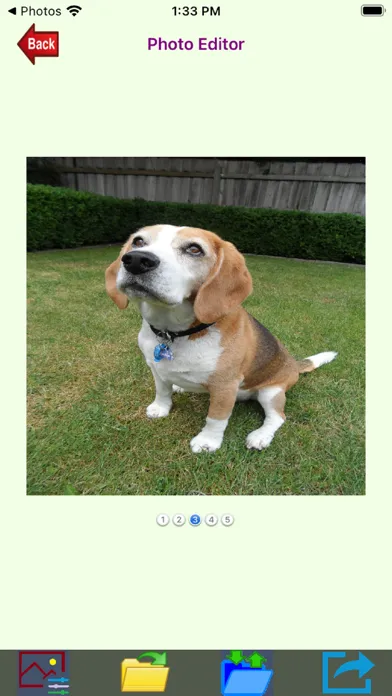 Pix-App 스크린샷