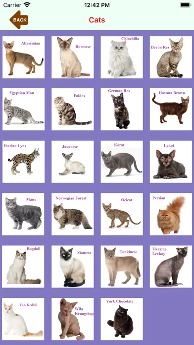 تصاویر Alphabet-Book