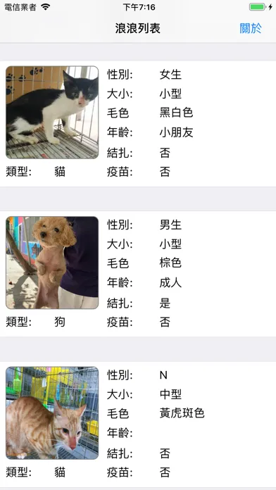 流浪動物平台 스크린샷