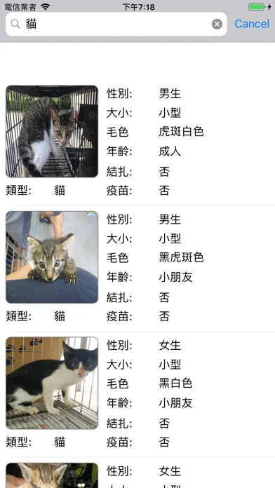 流浪動物平台 스크린샷