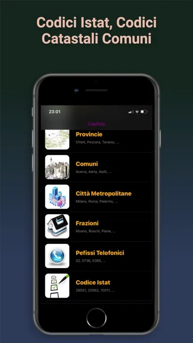 CapItaly应用截图