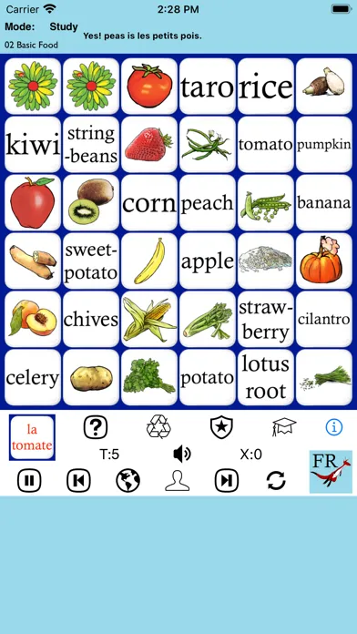French 4 Beginners - PE 스크린샷