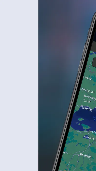 Kayıp Hayvanlar Screenshots
