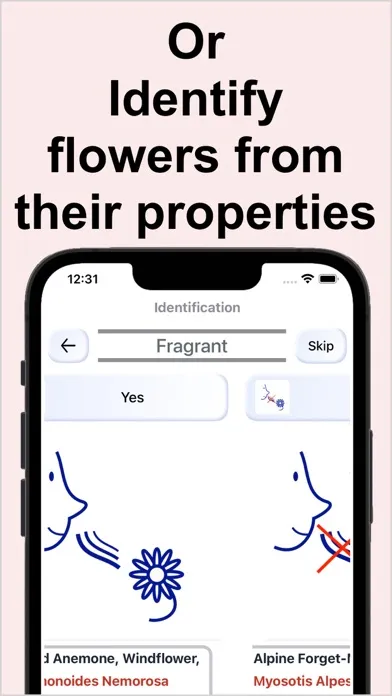 Flower Identification & Garden应用截图