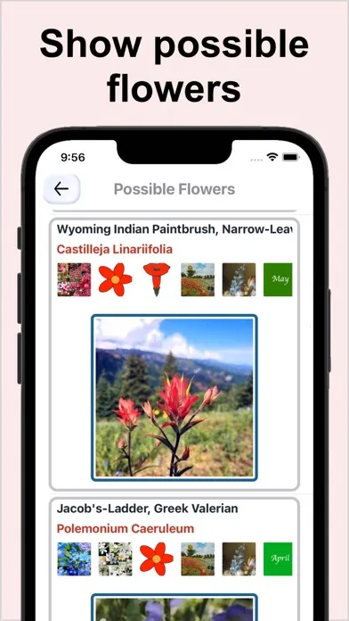 Flower Identification & Garden应用截图
