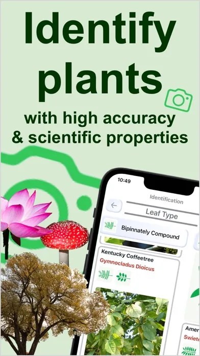 صور Forest Plant Identification