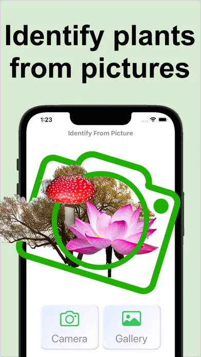 صور Forest Plant Identification