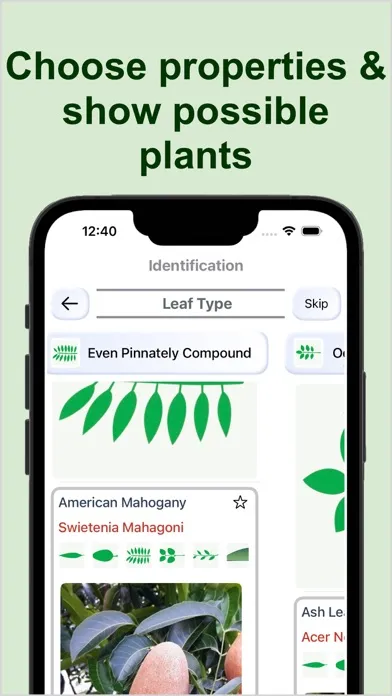 صور Forest Plant Identification